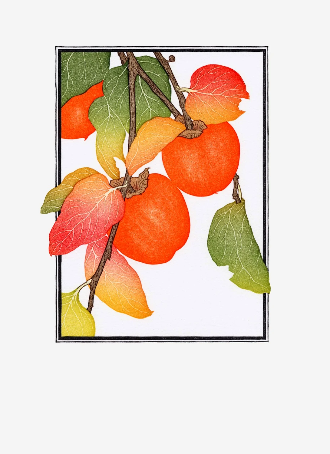 Fruit Prints — Patricia Curtan
